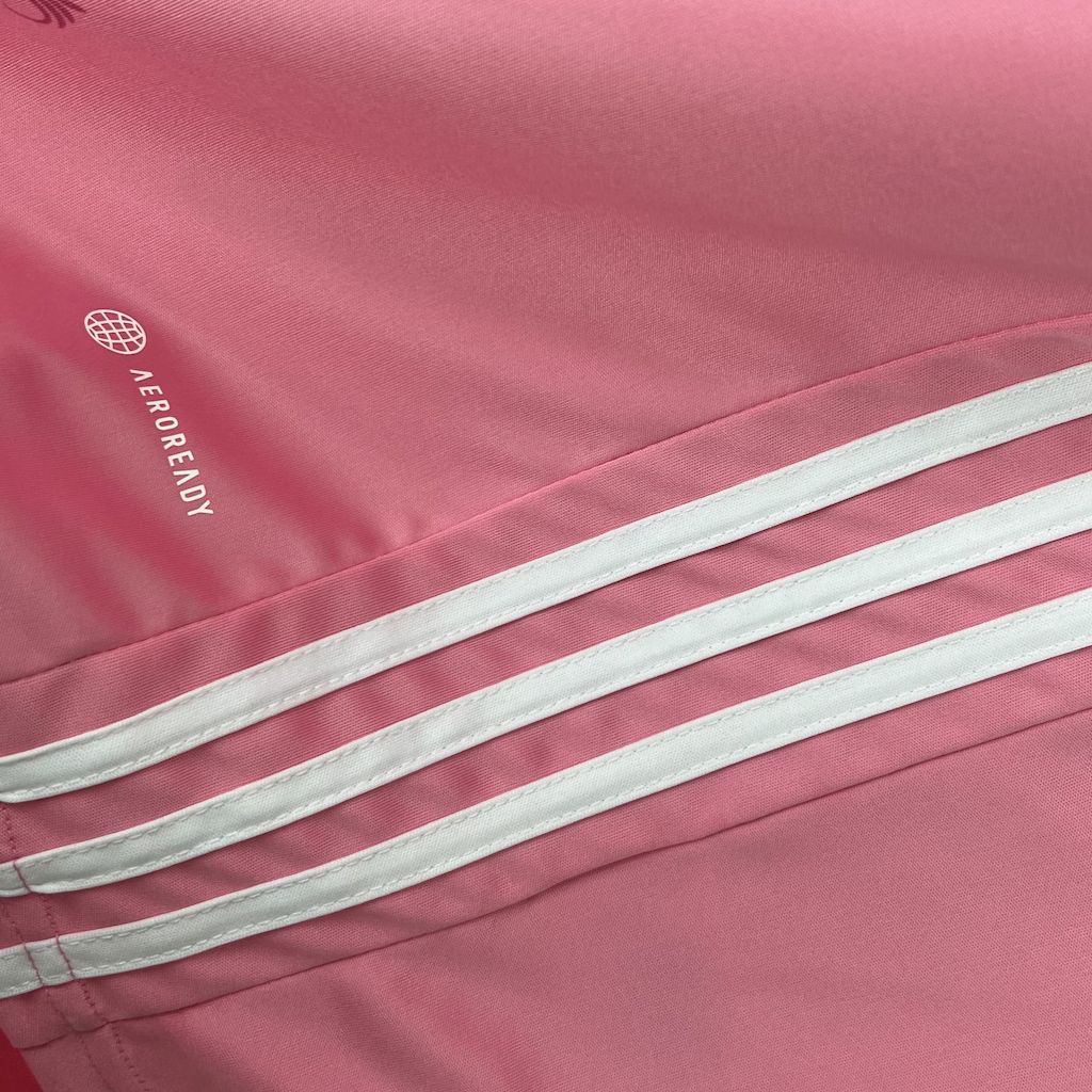 Camisa Aleria 24/25 Pink