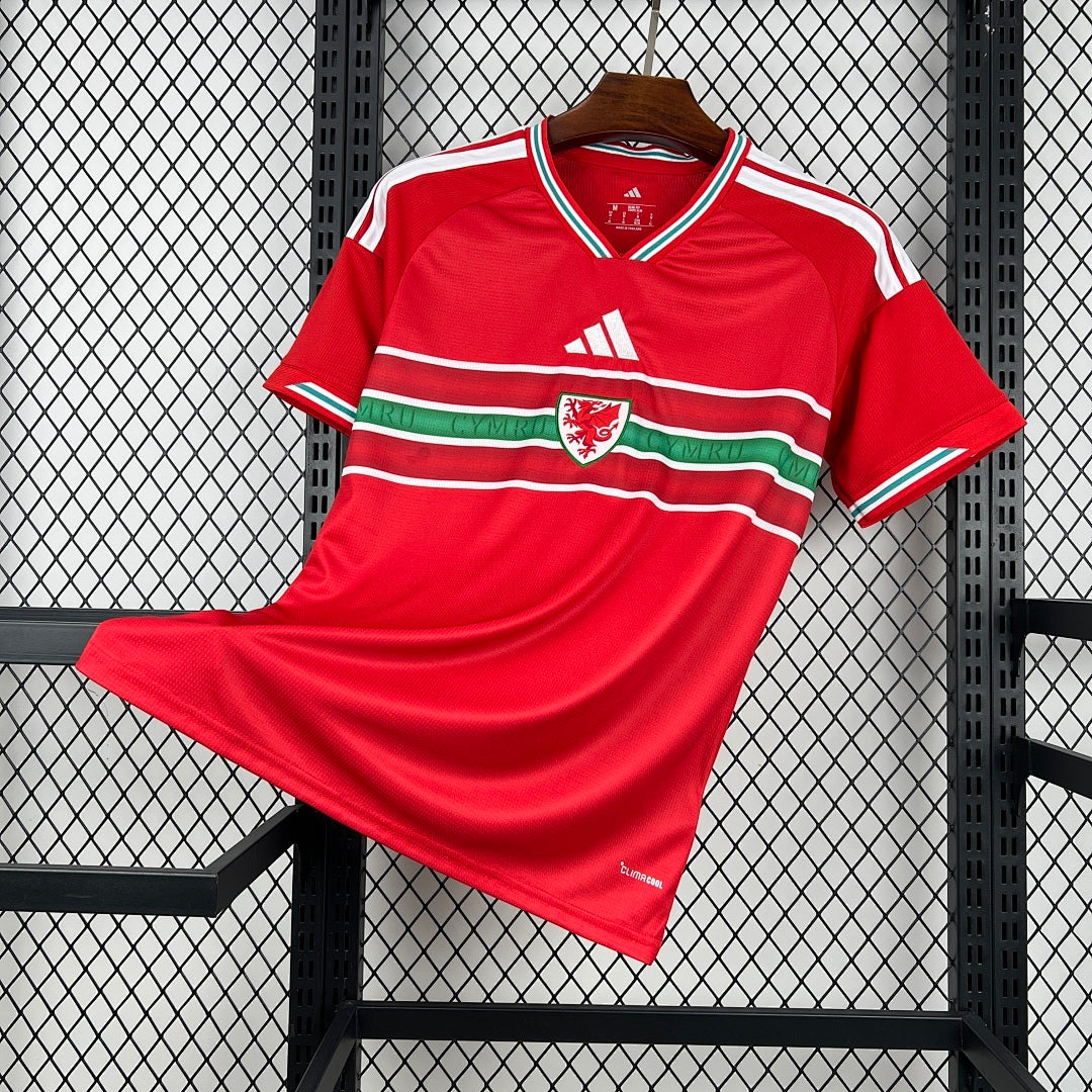 Camisa País de Gales I 2026 - Torcedor