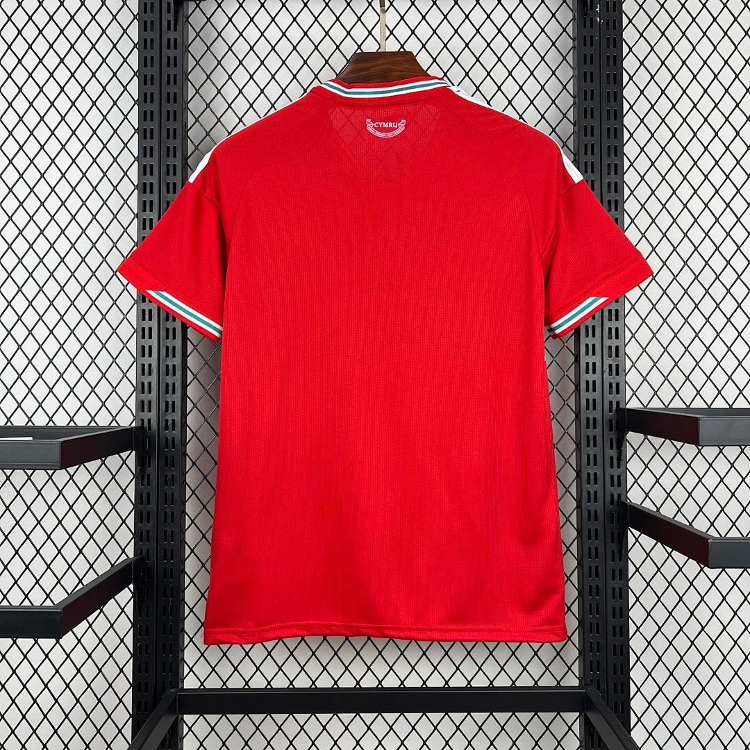 Camisa País de Gales I 2026 - Torcedor