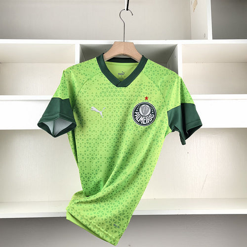 Camisa Palmeiras Treino 2024/25 Verde - Torcedor
