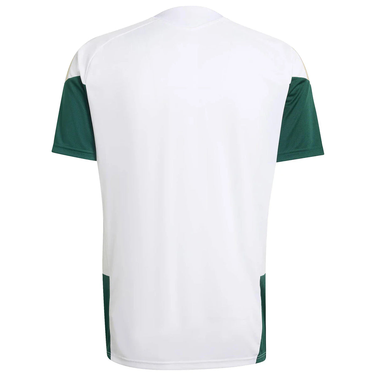 Camisa Itália 2026 Treino WorldCup