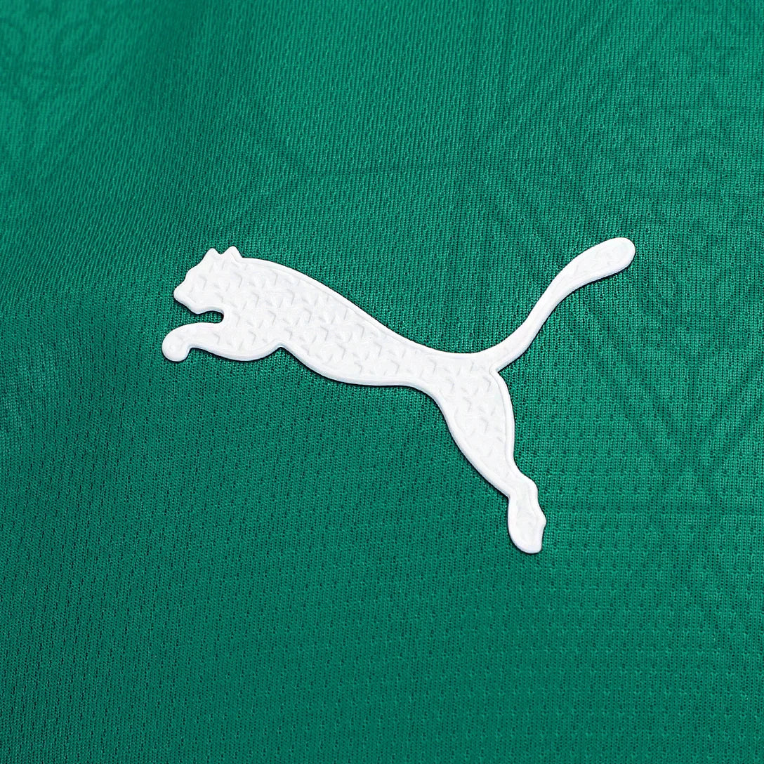 Camisa Palmeiras I 2025/26 Verde - Jogador - foto 4