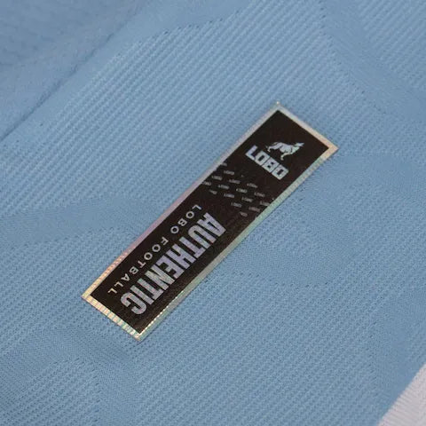 Camisa Paysandu I 2025/26 Azul e Branca - Torcedor
