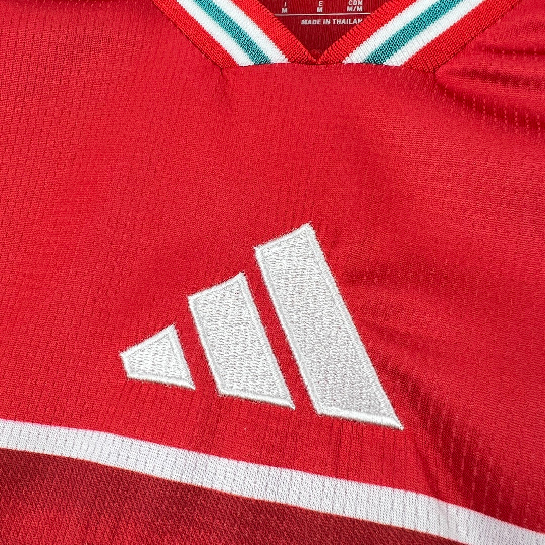 Camisa País de Gales I 2026 - Torcedor