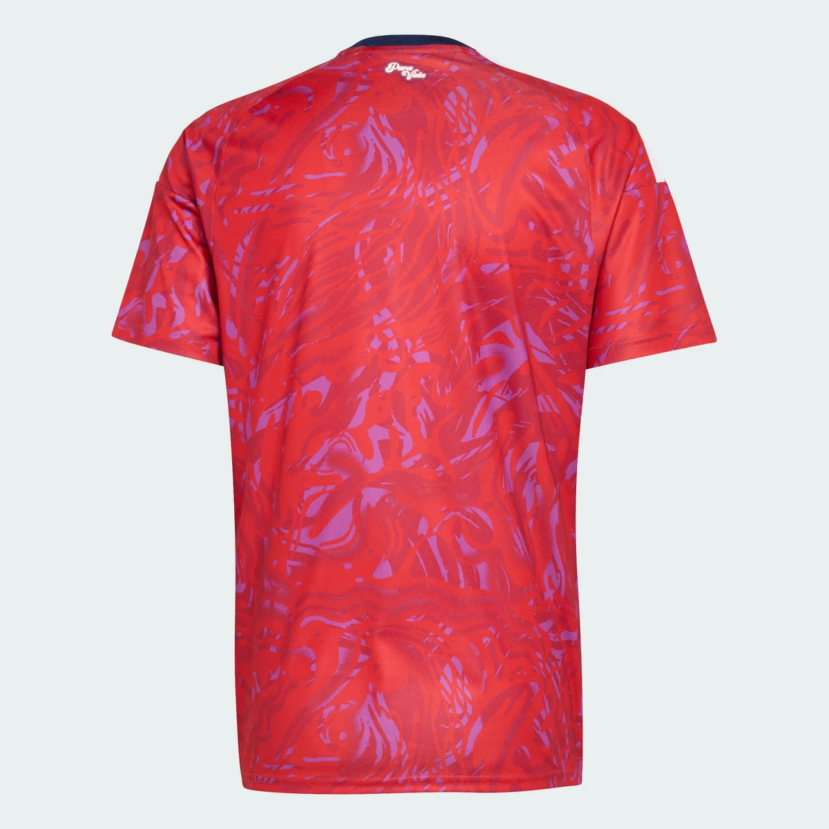 Camisa Costa Rica 2026 Home WorldCup