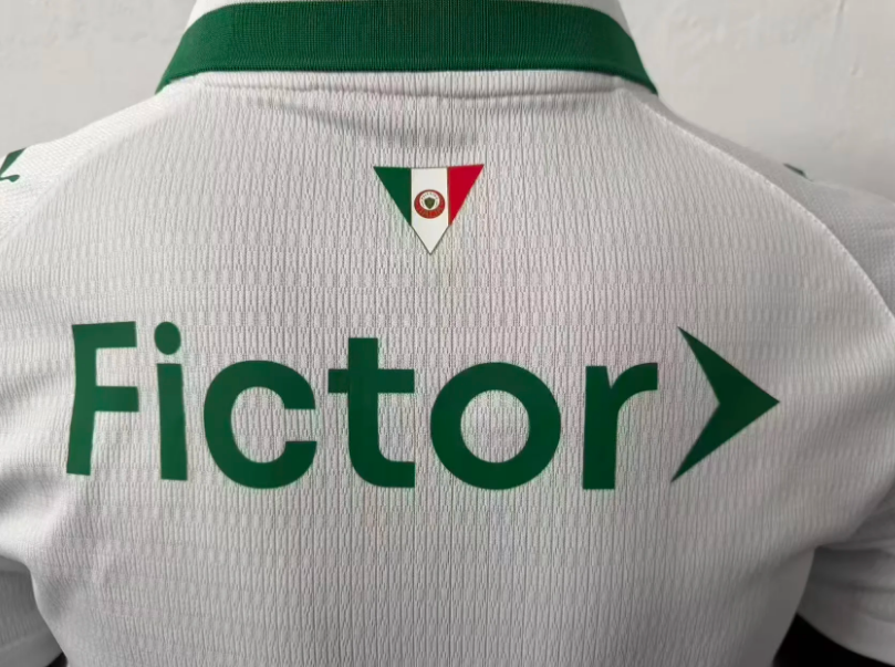 2627 Palmeiras Away Player Jersey S-3XL