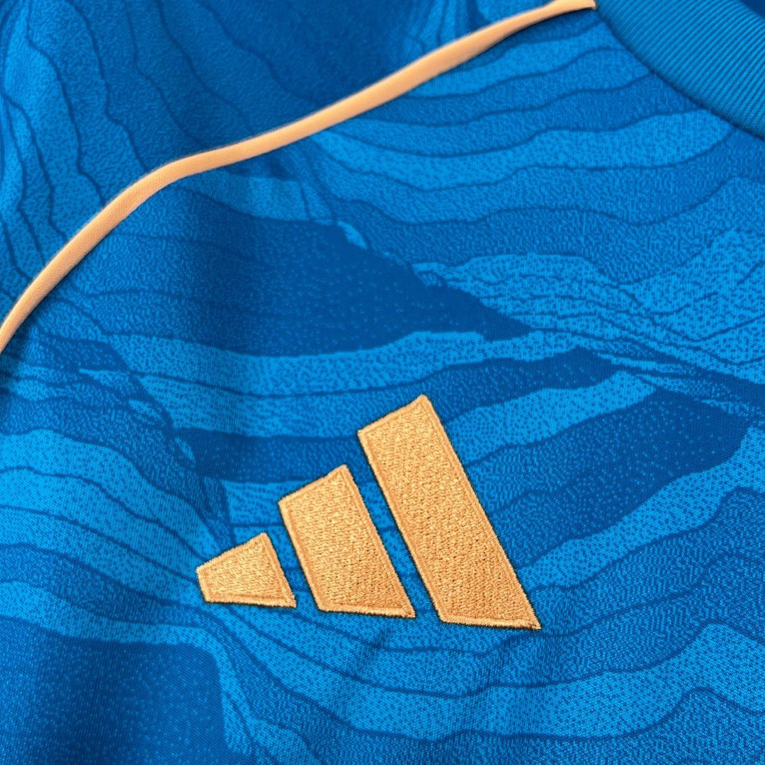 Mens Cruzeiro 2025∕26 Third Jersey(B5EA)