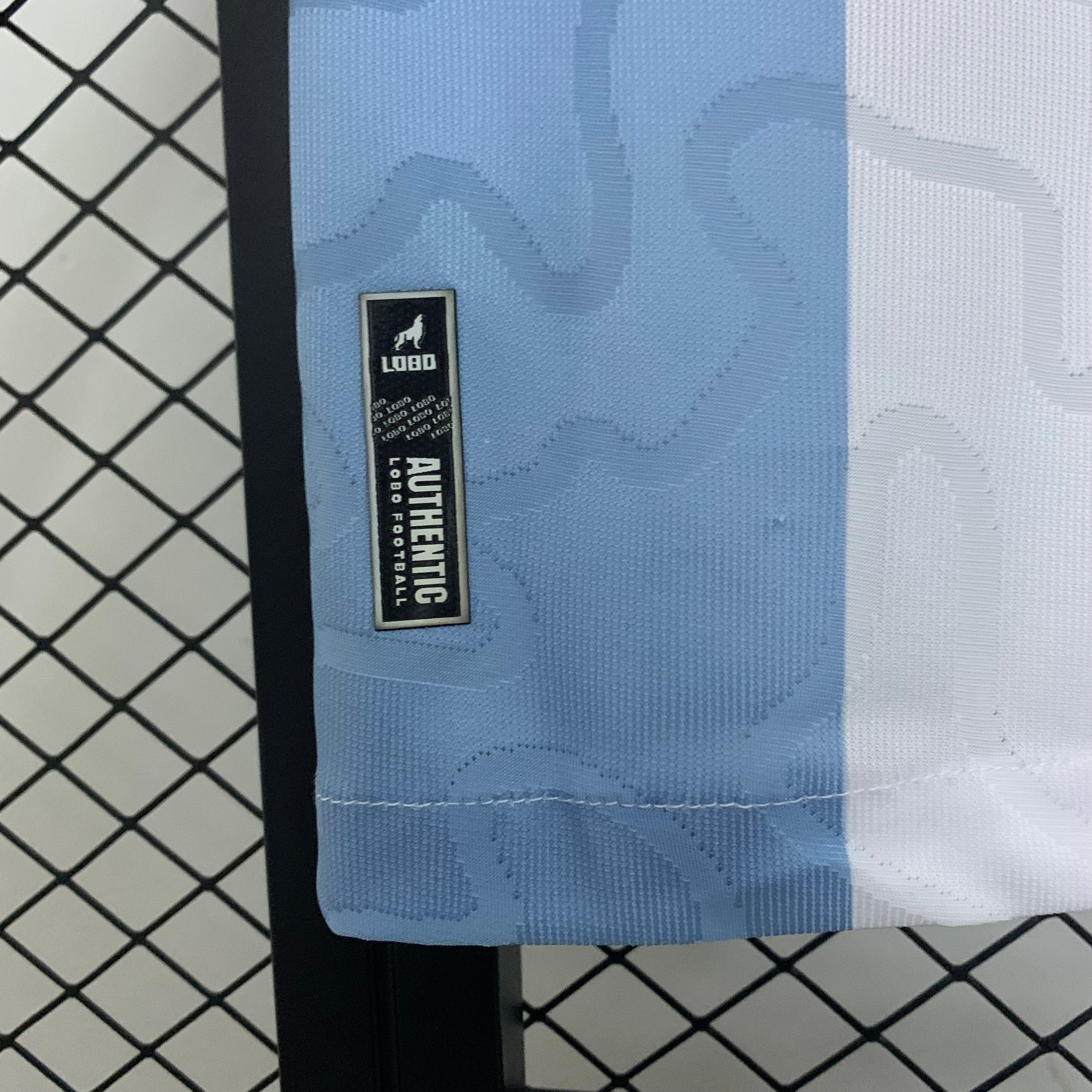 Camisa Paysandu 25/26 Home