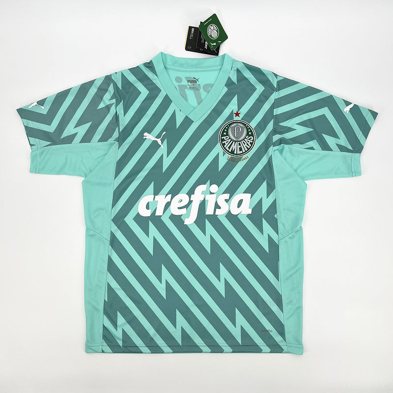 Palmeiras 2024∕25 Goleiro Verde Jersey SXXXXL(4E78)