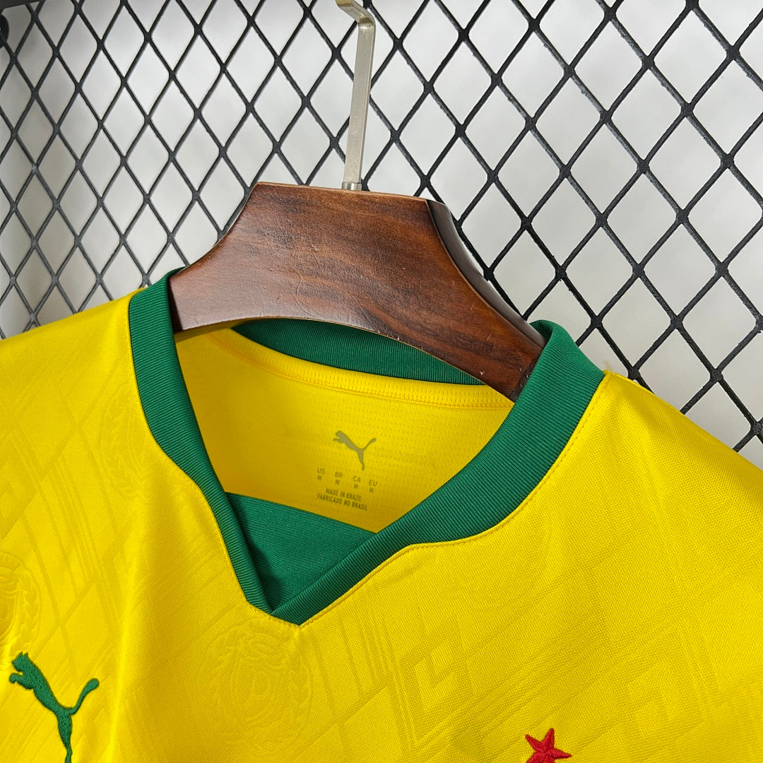 Mens Palmeiras 2025∕26 Third Jersey(3AE7)