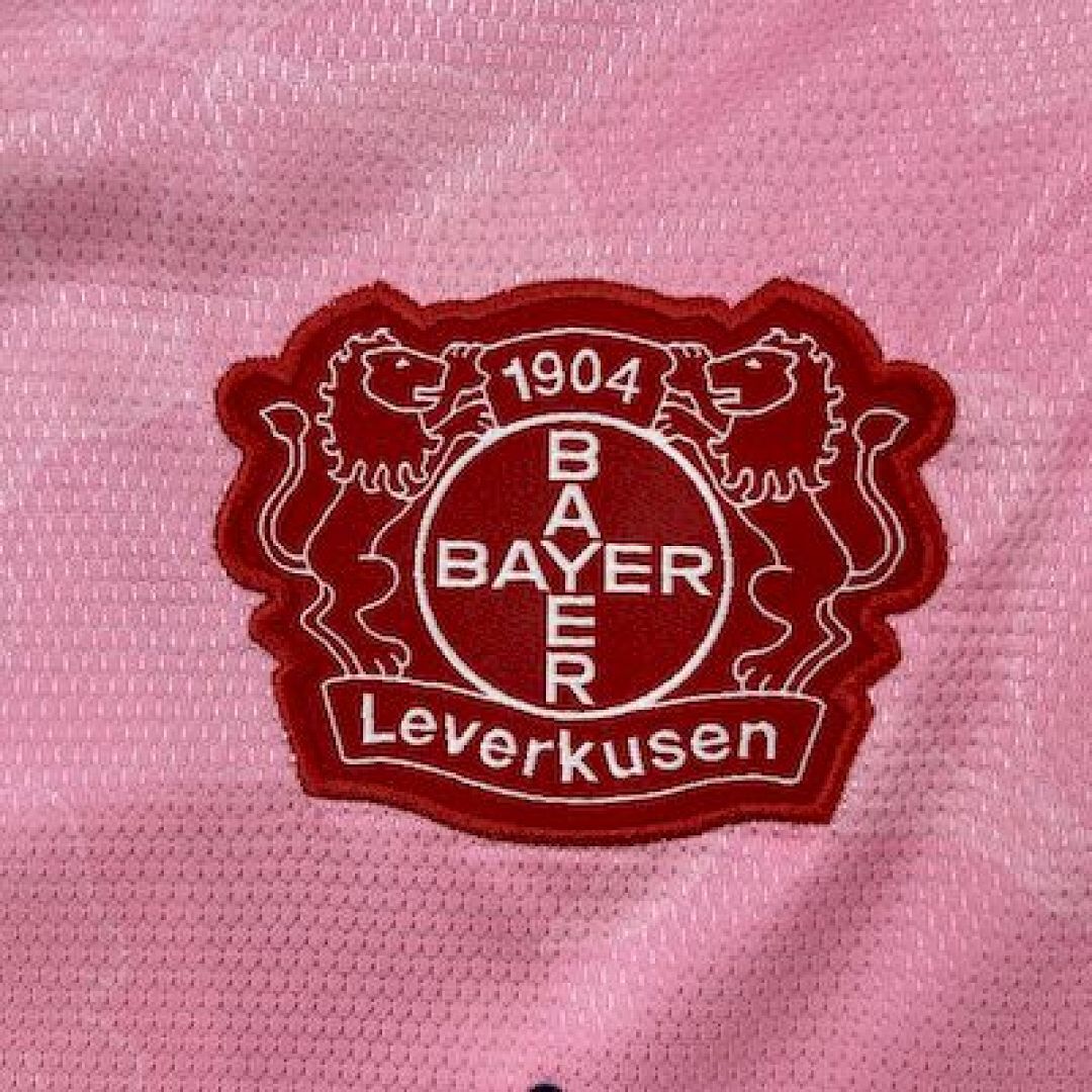 Bayer 04 Leverkusen 2025∕26 Away Jersey(1EEF)