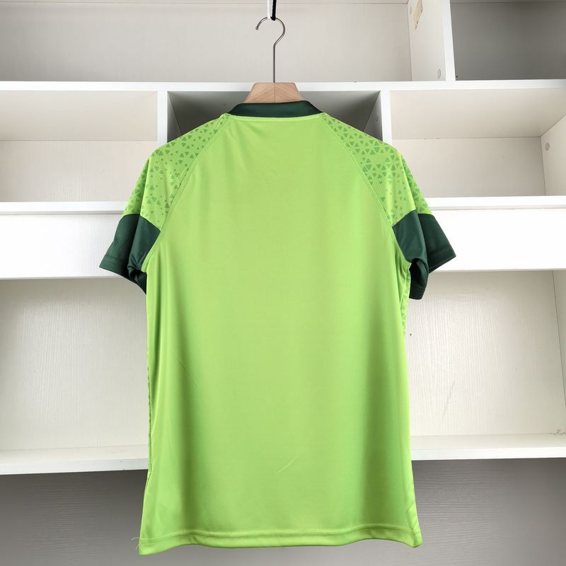 Camisa Palmeiras 2425 Treino Kit  Verde(6B57)