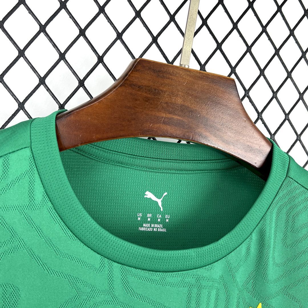 Mens Bahia 2025∕26 Training Jersey