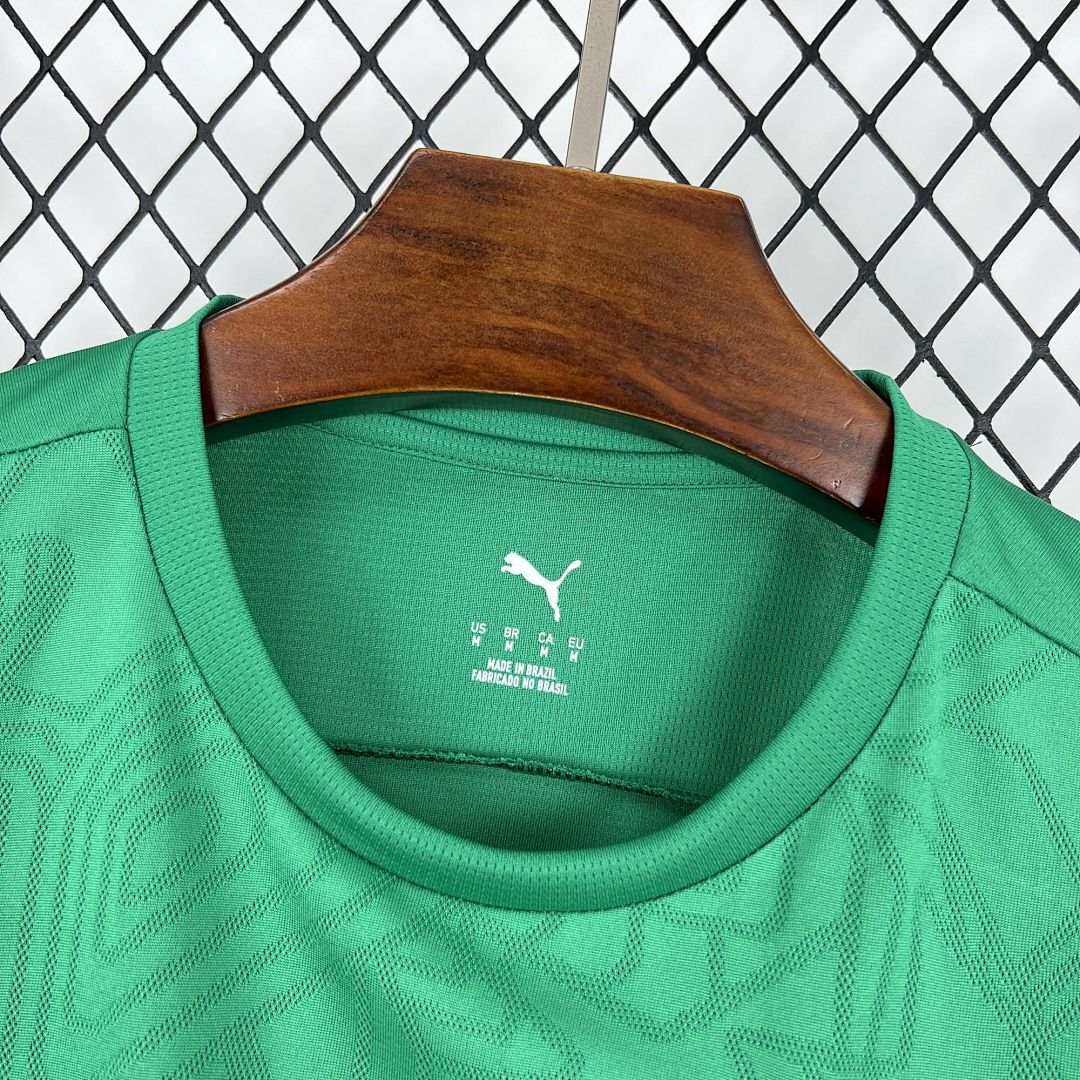 Mens Palmeiras 2025∕26 Training Jersey(FB02)