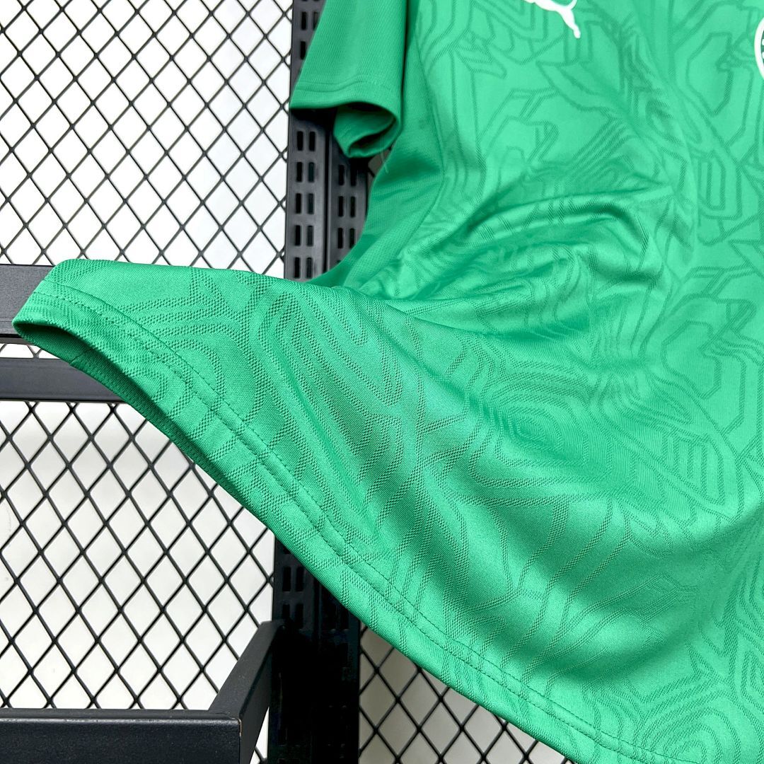 Mens Palmeiras 2025∕26 Training Jersey(FB02)