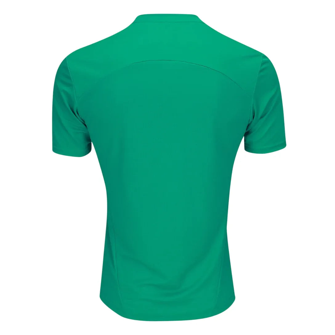 Camisa Palmeiras Treino 25/26  Verde