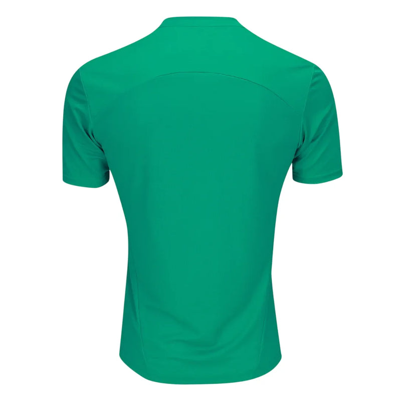 Camisa Palmeiras Treino 25/26  Verde