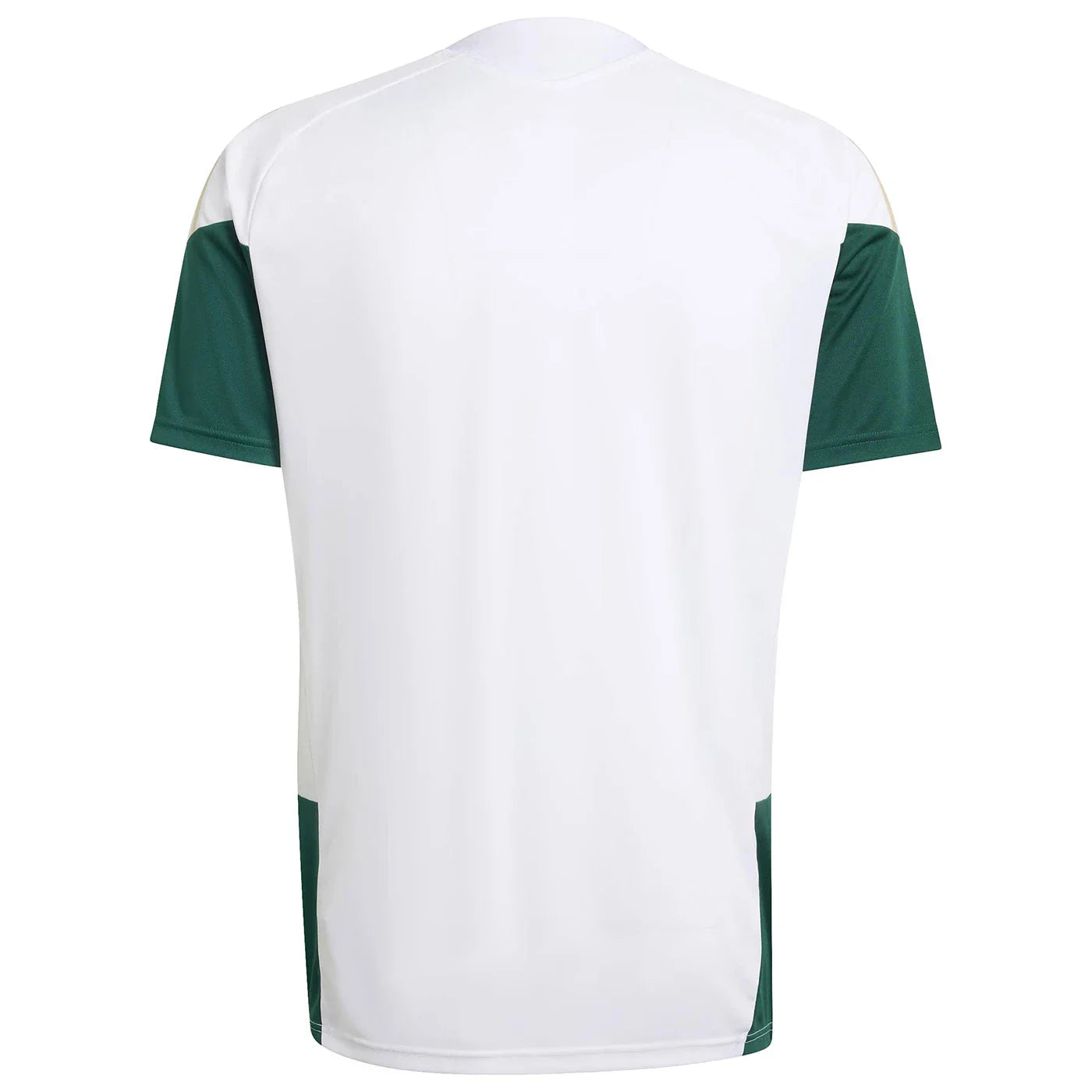 Camisa Itália 2026 Treino WorldCup