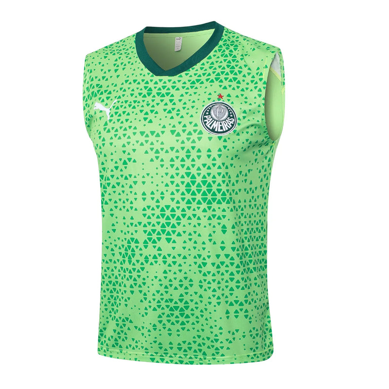 Conjunto Palmeiras Treino Regata 24/25  Verde