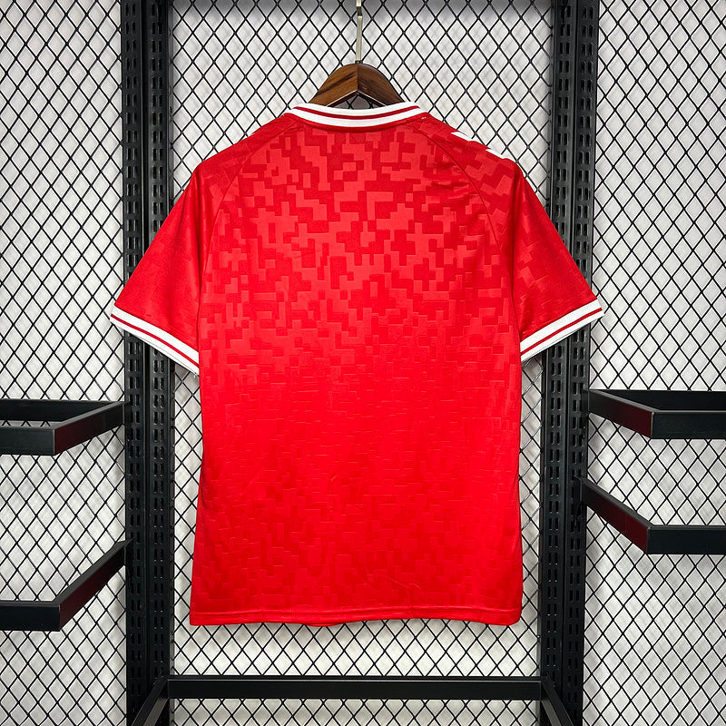 Camisa Seleção Dinamarca 24/25  Home  Vermelha