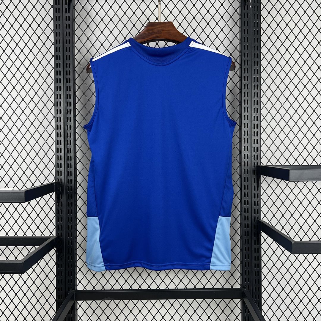 Mens Cruzeiro 2025∕26 Pre-Match Vest Jersey(2976)