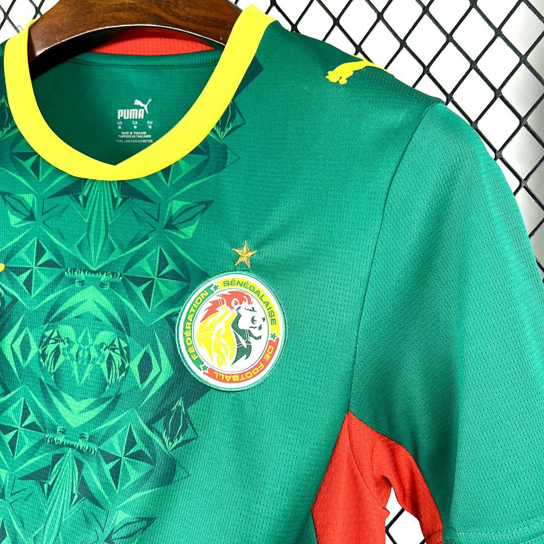Mens Senegal 2026∕27 Away Jersey(25A1)