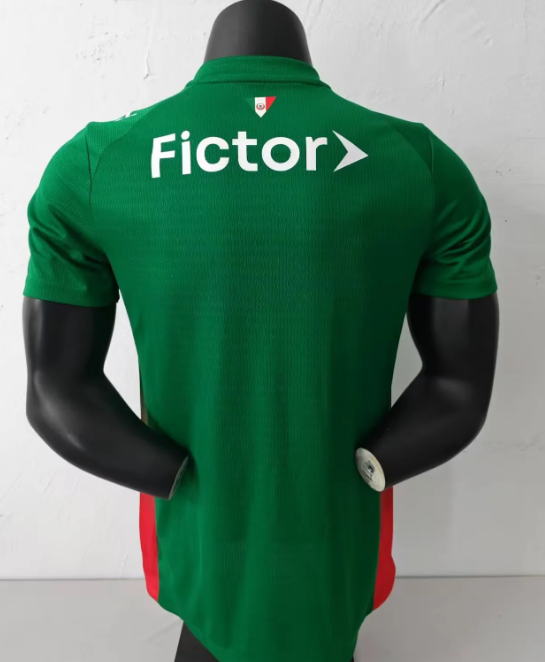 2627 Palmeiras Home Player Jersey S-3XL