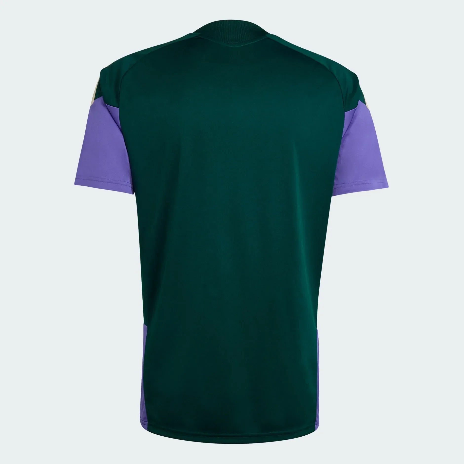 Camisa Arábia Saudita 2026 Treino WorldCup